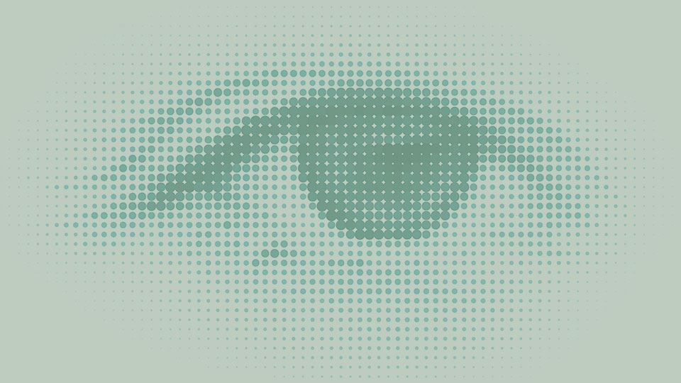 Aparelho de tricoscopia digital em uso clínico